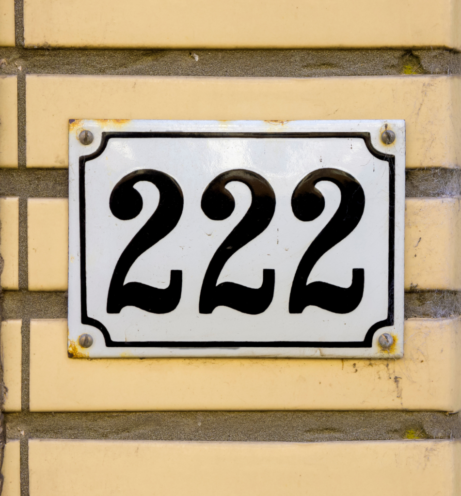 The Significance of the Number 222